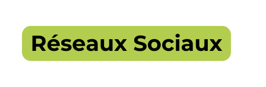 Réseaux Sociaux